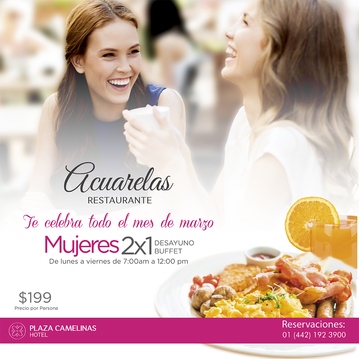 Promociones Restaurante Acuarelas - Hotel Plaza Camelinas